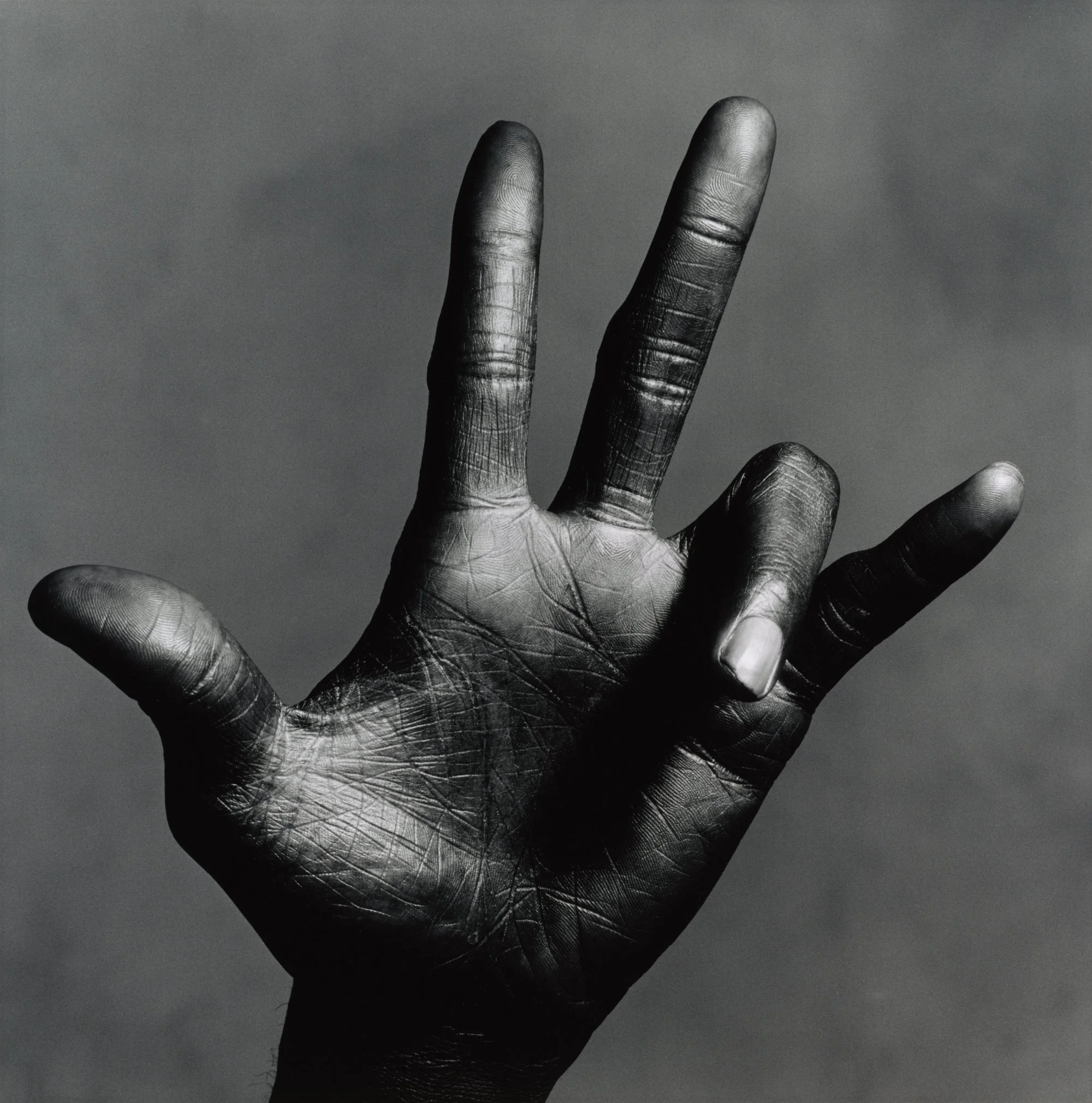 News — The Irving Penn Foundation